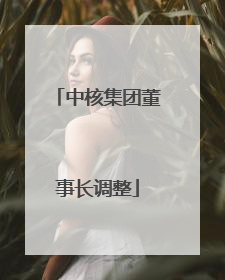 中核集团董事长调整