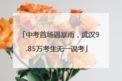 中考首场遇暴雨，武汉9.85万考生无一误考
