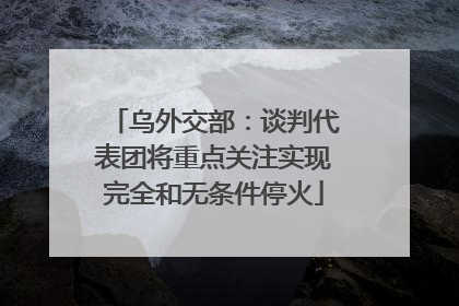 乌外交部：谈判代表团将重点关注实现完全和无条件停火