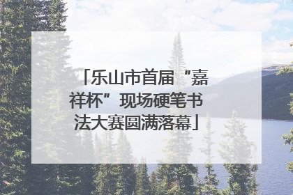 乐山市首届“嘉祥杯”现场硬笔书法大赛圆满落幕