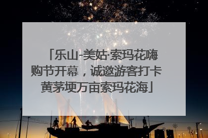 乐山-美姑·索玛花嗨购节开幕，诚邀游客打卡黄茅埂万亩索玛花海