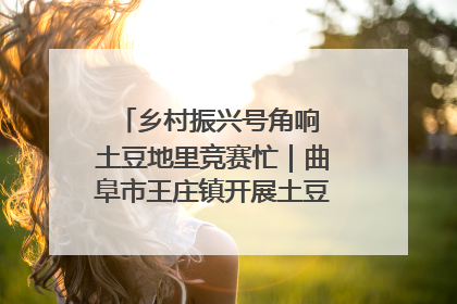 乡村振兴号角响 土豆地里竞赛忙｜曲阜市王庄镇开展土豆收获劳动竞赛