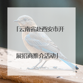 云南省赴西安市开展招商推介活动