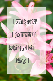 云岭时评丨负面清单划定行业红线③