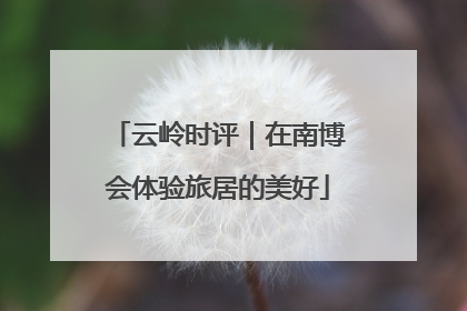 云岭时评｜在南博会体验旅居的美好