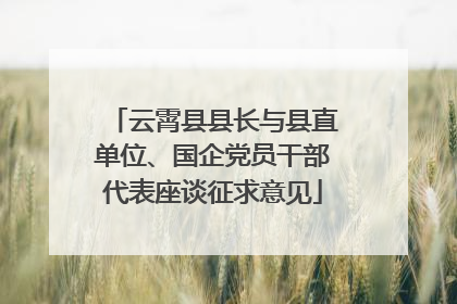 云霄县县长与县直单位、国企党员干部代表座谈征求意见