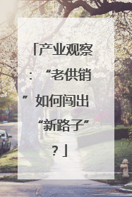 产业观察：“老供销”如何闯出“新路子”？
