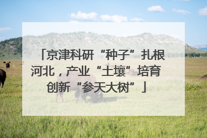 京津科研“种子”扎根河北，产业“土壤”培育创新“参天大树”