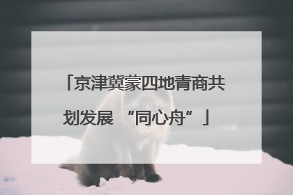 京津冀蒙四地青商共划发展 “同心舟”