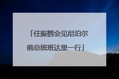 任振鹤会见尼泊尔前总统班达里一行