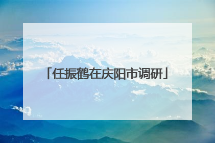 任振鹤在庆阳市调研