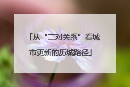 从“三对关系”看城市更新的历城路径