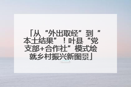 从“外出取经”到“本土结果”！叶县“党支部+合作社”模式绘就乡村振兴新图景