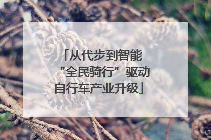 从代步到智能 “全民骑行”驱动自行车产业升级