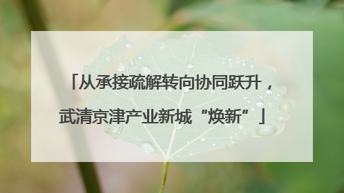从承接疏解转向协同跃升，武清京津产业新城“焕新”