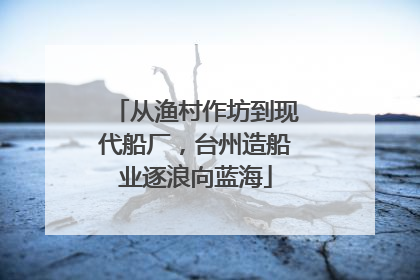 从渔村作坊到现代船厂，台州造船业逐浪向蓝海