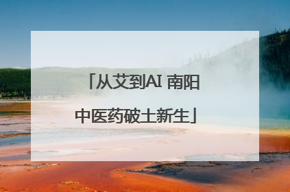从艾到AI 南阳中医药破土新生