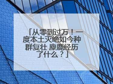 从零到过万！一度本土灭绝如今种群复壮 麋鹿经历了什么？