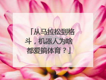 从马拉松到格斗，机器人为啥都爱搞体育？
