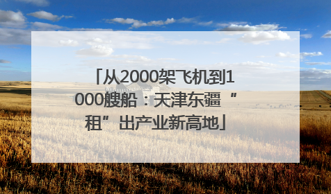 从2000架飞机到1000艘船：天津东疆“租”出产业新高地