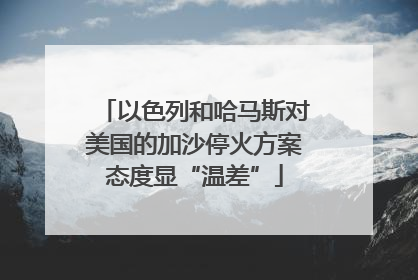 以色列和哈马斯对美国的加沙停火方案态度显“温差”