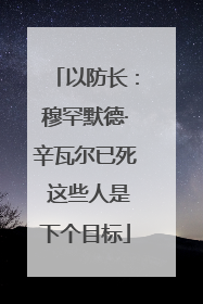 以防长：穆罕默德·辛瓦尔已死 这些人是下个目标