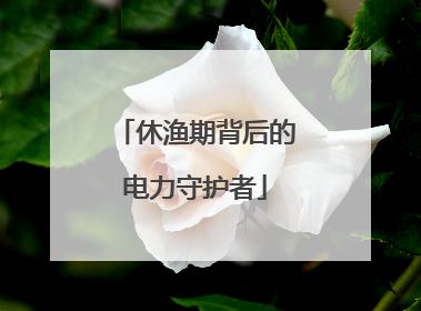 休渔期背后的电力守护者