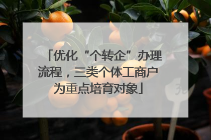 优化“个转企”办理流程，三类个体工商户为重点培育对象