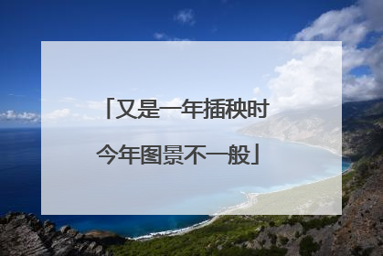 又是一年插秧时 今年图景不一般