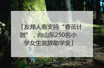 友邦人寿支持“春蕾计划”，向山东250名小学女生发放助学金