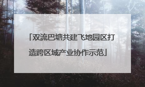 双流巴塘共建飞地园区打造跨区域产业协作示范