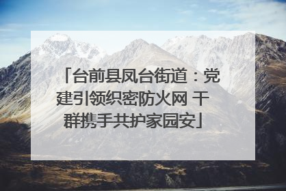 台前县凤台街道：党建引领织密防火网 干群携手共护家园安