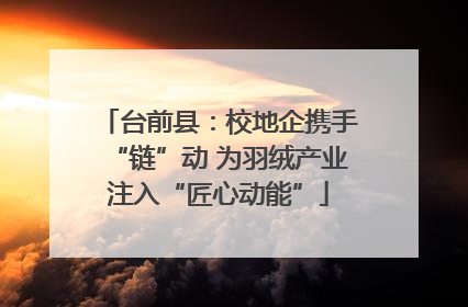 台前县：校地企携手“链”动 为羽绒产业注入“匠心动能”