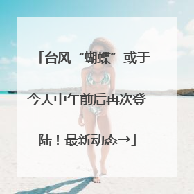 台风“蝴蝶”或于今天中午前后再次登陆！最新动态→