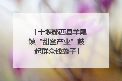 十堰郧西县羊尾镇“甜蜜产业”鼓起群众钱袋子