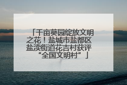 千亩葵园绽放文明之花！盐城市盐都区盐渎街道花吉村获评“全国文明村”