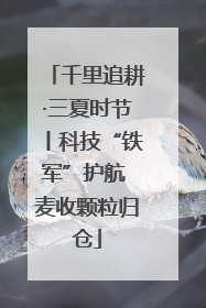 千里追耕·三夏时节丨科技“铁军”护航 麦收颗粒归仓