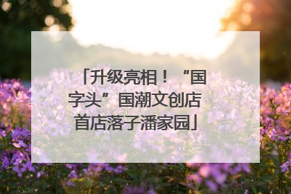 升级亮相！“国字头”国潮文创店首店落子潘家园