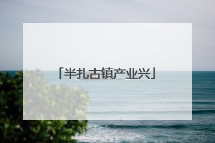 半扎古镇产业兴