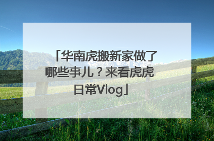 华南虎搬新家做了哪些事儿？来看虎虎日常Vlog