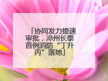 协同发力提速审批，漳州长泰首例消防“丁升丙”落地