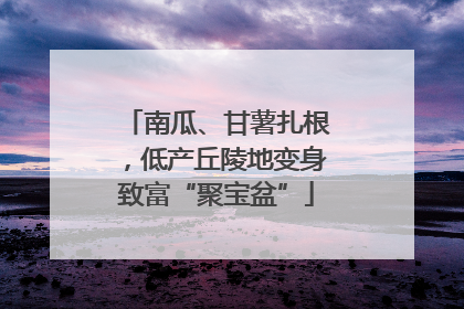 南瓜、甘薯扎根，低产丘陵地变身致富“聚宝盆”
