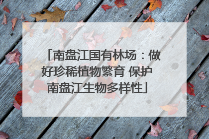 南盘江国有林场：做好珍稀植物繁育 保护南盘江生物多样性