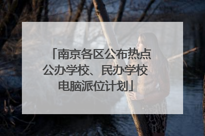 南京各区公布热点公办学校、民办学校电脑派位计划