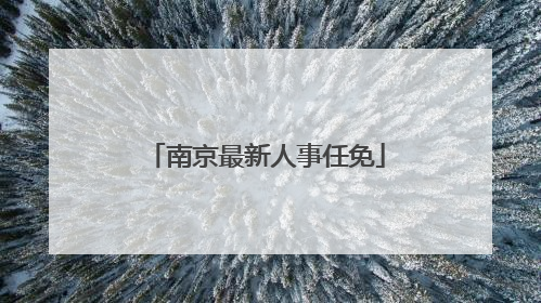 南京最新人事任免
