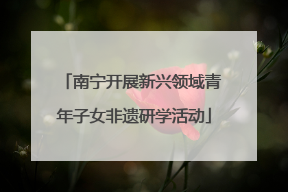 南宁开展新兴领域青年子女非遗研学活动