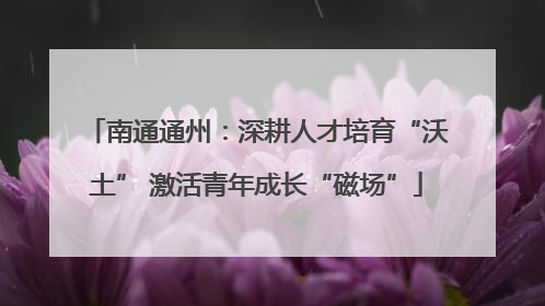 南通通州：深耕人才培育“沃土” 激活青年成长“磁场”