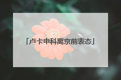 卢卡申科离京前表态
