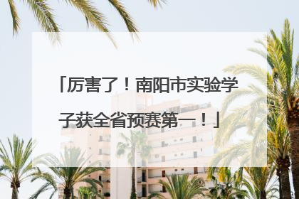 厉害了！南阳市实验学子获全省预赛第一！