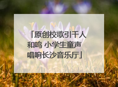 原创校歌引千人和鸣 小学生童声唱响长沙音乐厅